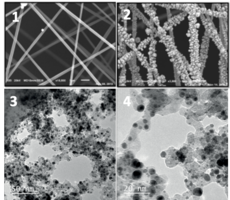 1: SEM, clean filter mesh 2: SEM, AlOx + Au
3: TEM, AlOx + Au catalyst 4: TEM, AlOx + Au catalyst A2_em_images
